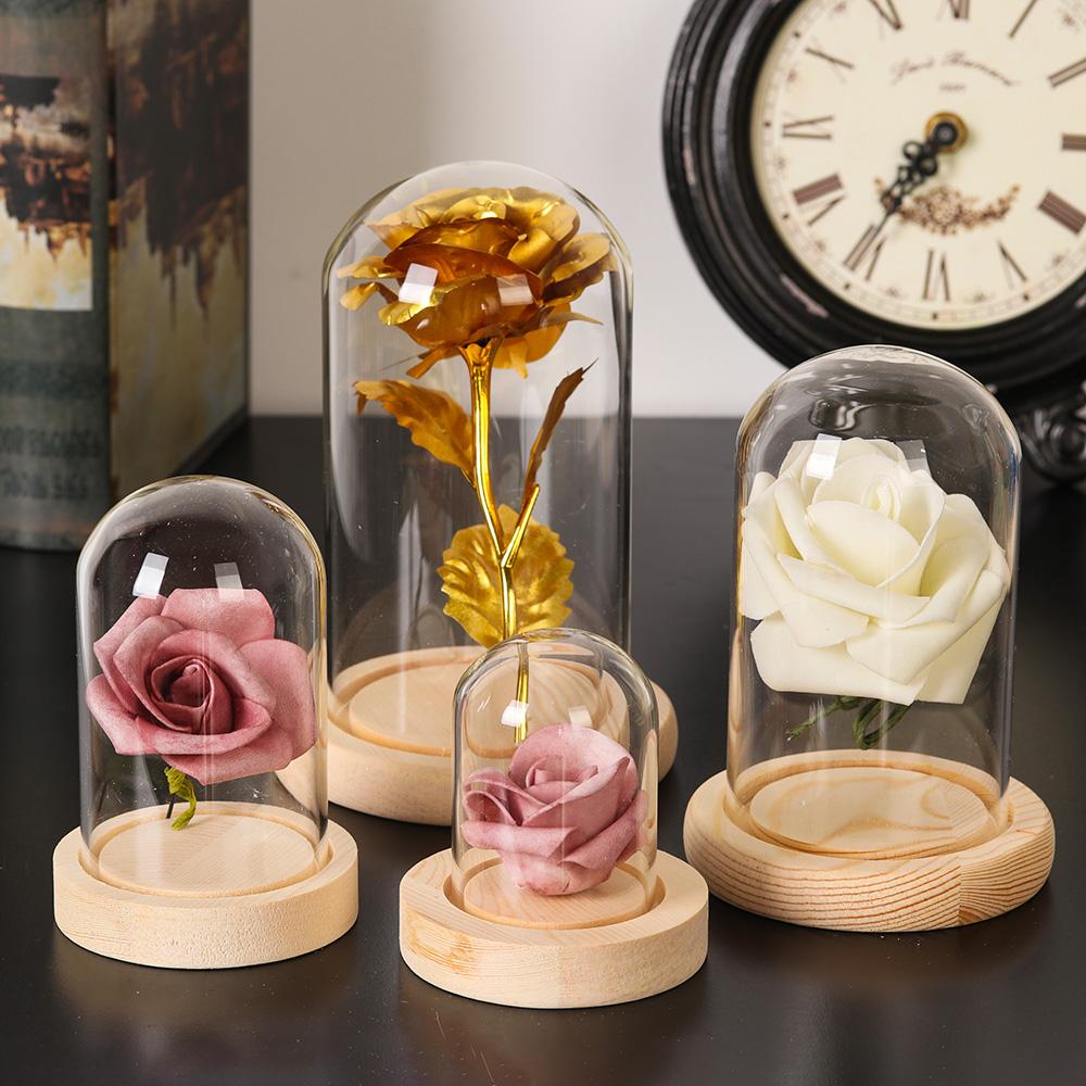 Fairy Lights Plants Transparen - Reusable Bottle ulasan dan harga