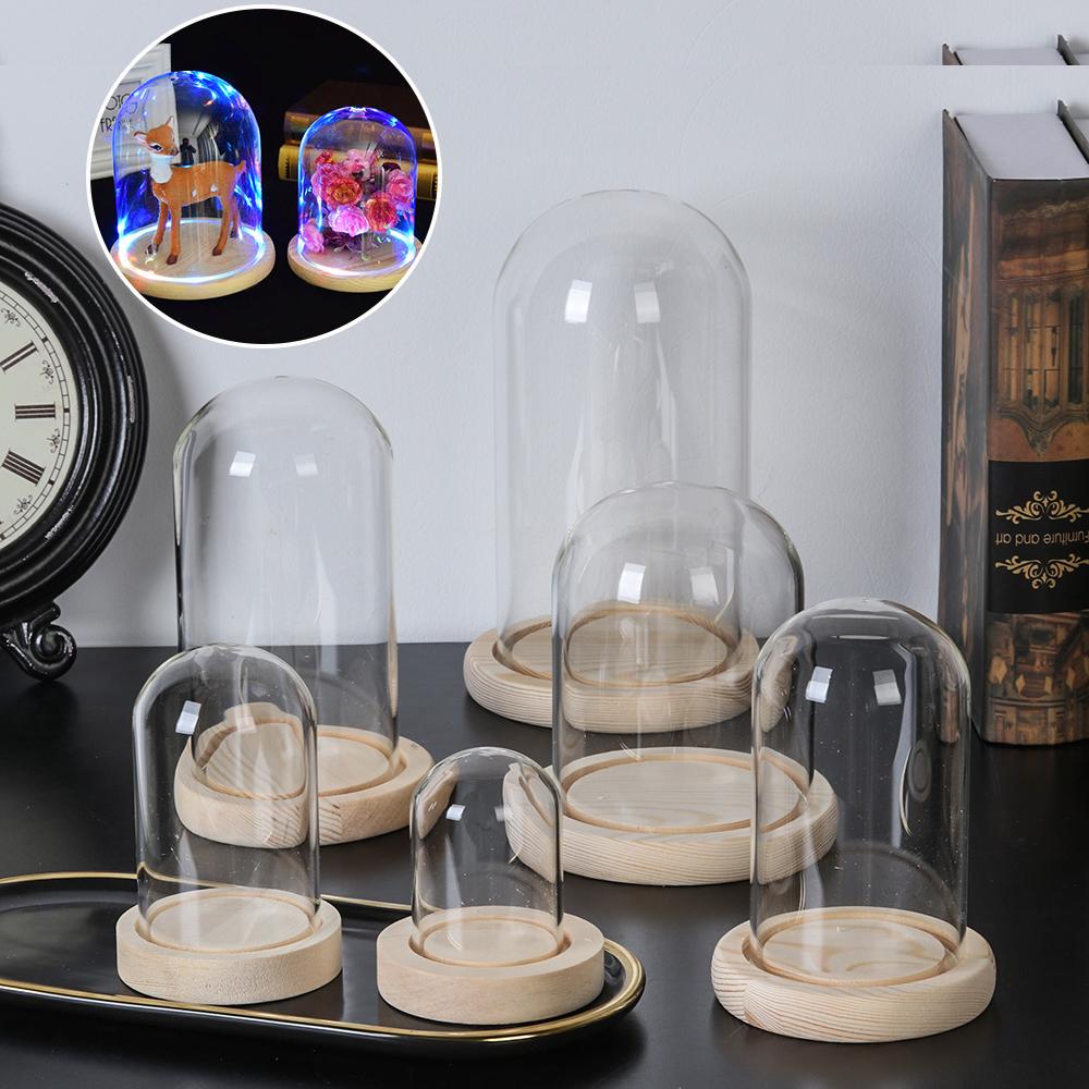 Fairy Lights Home Decor Terrar - Reusable Bottle ulasan dan harga