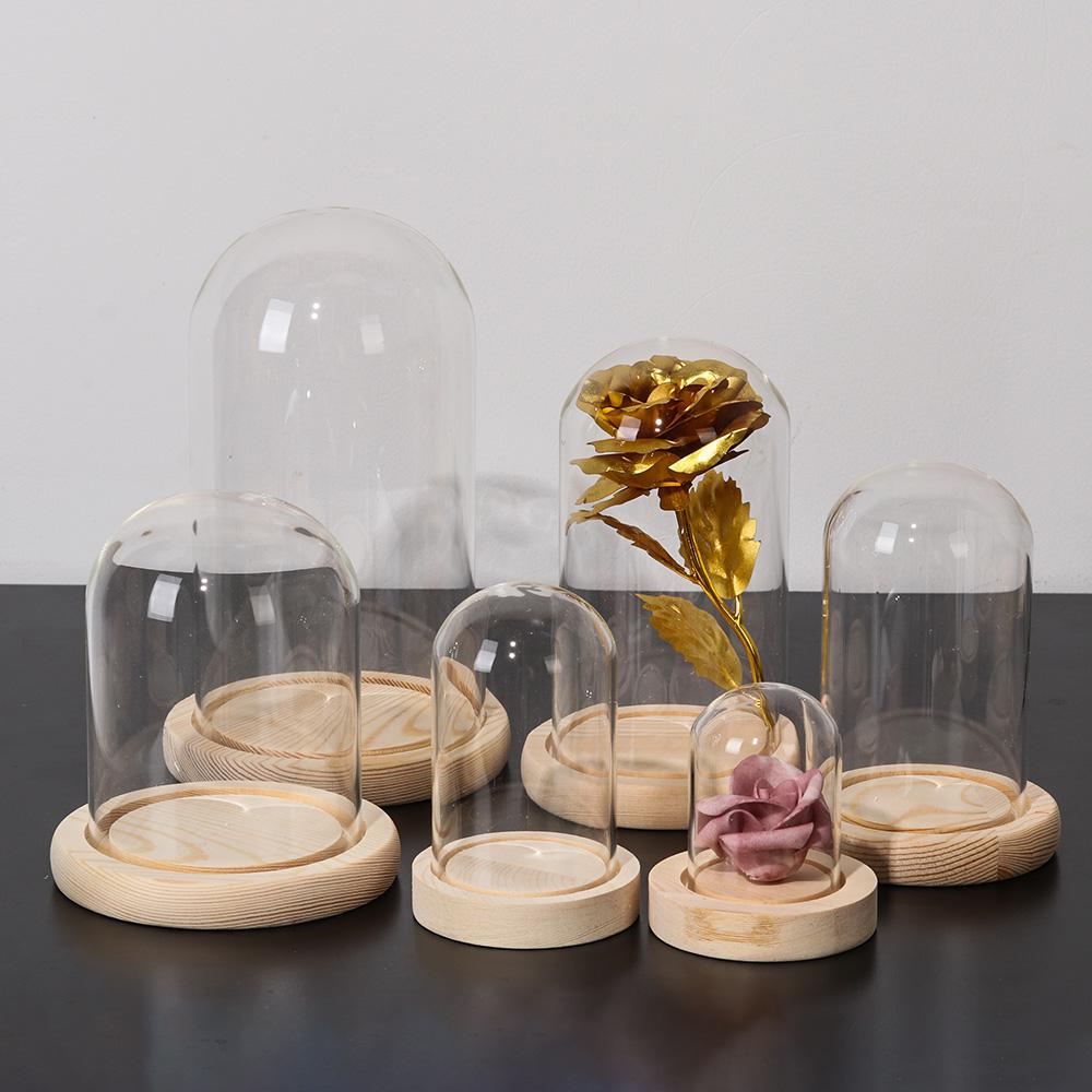 Fairy Lights Home Decor Terrar - Reusable Bottle ulasan dan harga